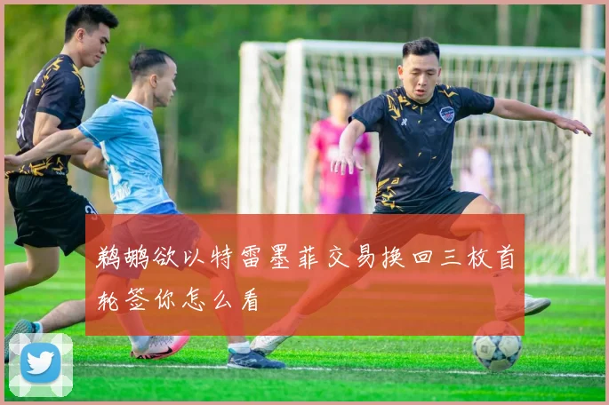 鹈鹕欲以特雷墨菲交易换回三枚首轮签你怎么看