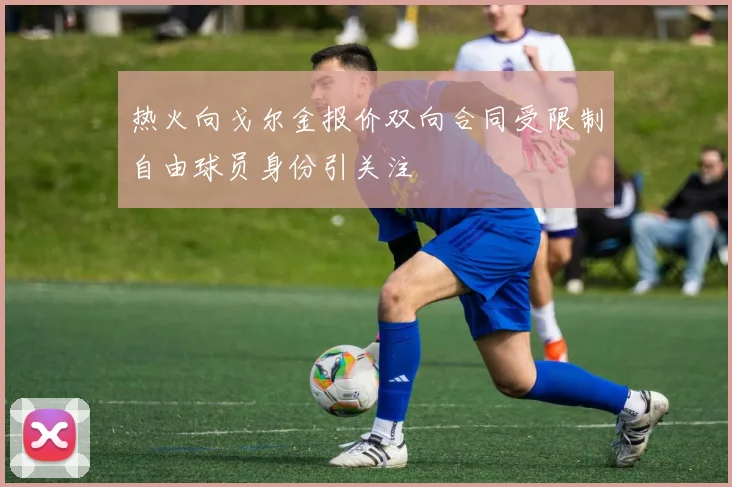 热火向戈尔金报价双向合同受限制自由球员身份引关注